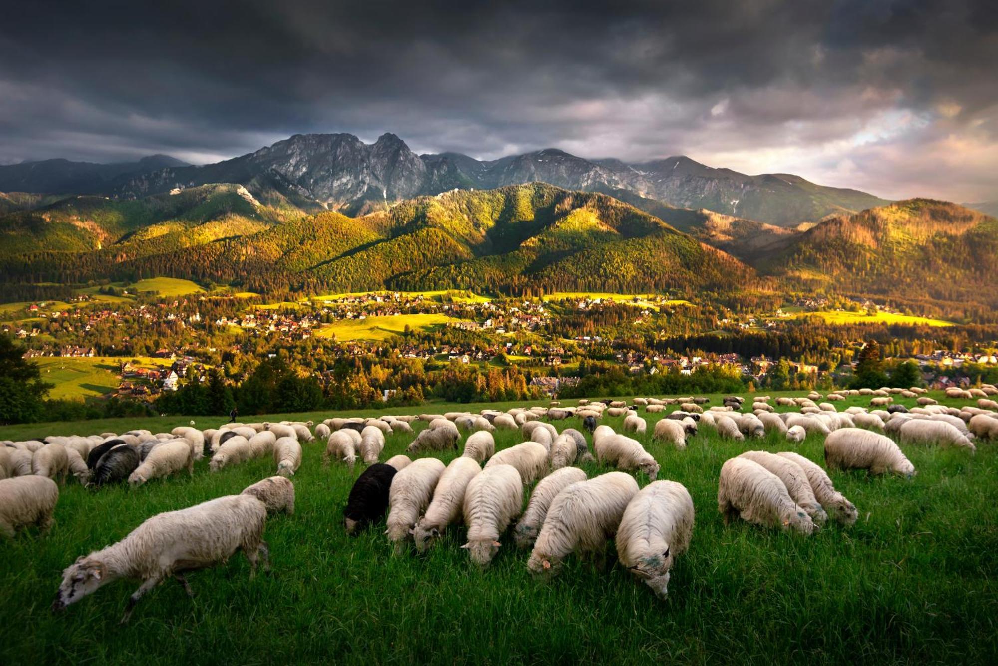 Gorska Osada Beautiful *